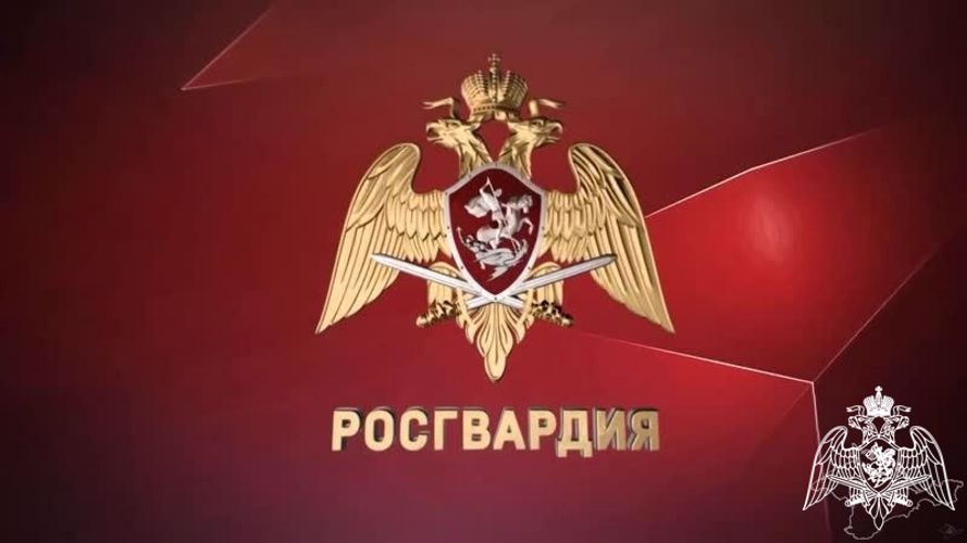 В УПРАВЛЕНИЕ РОСГВАРДИИ ПО ВЛАДИМИРСКОЙ ОБЛАСТИ ПОСТУПИЛО ПИСЬМО СО СЛОВАМИ БЛАГОДАРНОСТИ В АДРЕС РОСГВАРДЕЙЦЕВ