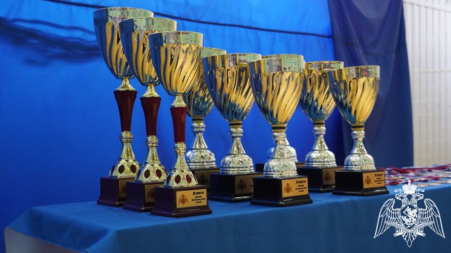 Команда регионального Управления Росгвардии завоевала «Золото» на Чемпионате центрального округа войск национальной гвардии по борьбе самбо (ВИДЕО)