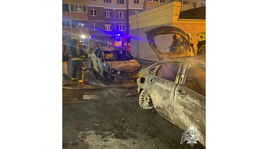 Росгвардейцы задержали подозреваемую в поджоге машин во Владимире