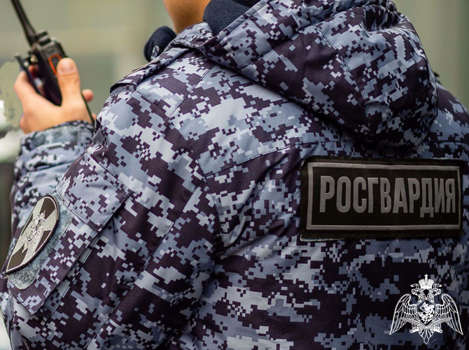 Росгвардейцы задержали подозреваемую в поджоге машин во Владимире