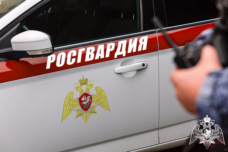 Росгвардейцы задержали граждан с крупной партией наркотиков во Владимире