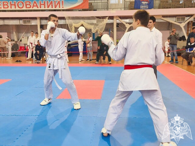 Во Владимирской области прошел чемпионат по всестилевому каратэ памяти погибшего росгвардейца – участника специальной военной операции