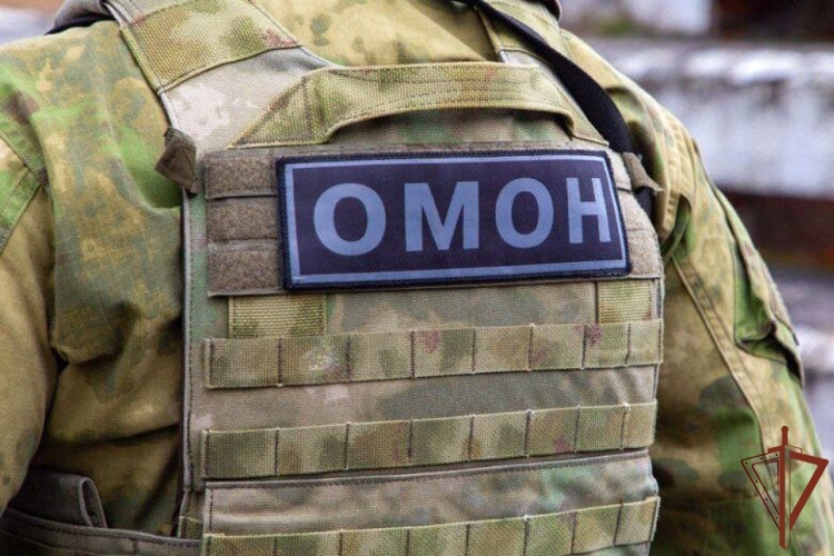 Во Владимирской области при содействии спецназа Росгвардии задержаны подозреваемые в публичном оправдании терроризма 