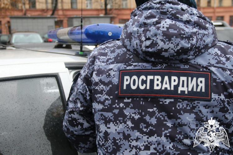 Во Владимирской области за прошедший месяц сотрудники вневедомственной охраны Росгвардии более 1300 раз выезжали по сигналам "тревога" 