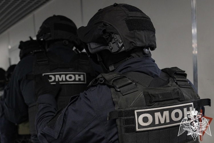 При содействии спецназа Росгвардии задержан подозреваемый в мошенничестве в отношении военнослужащего во Владимирской области (видео)