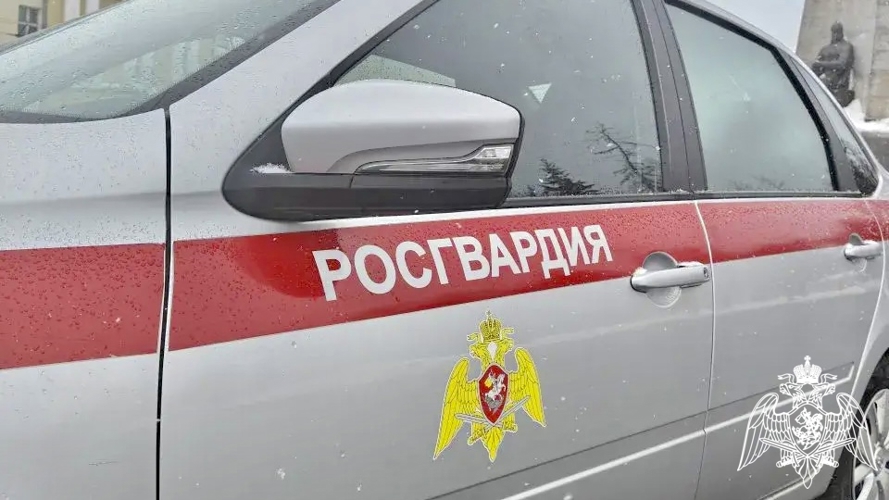 Сотрудники Росгвардии задержали подозреваемого в убийстве во Владимирской области 
