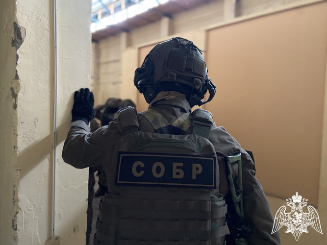 Во Владимирской области при содействии спецназа Росгвардии задержан подозреваемый в реабилитации нацизма (видео)