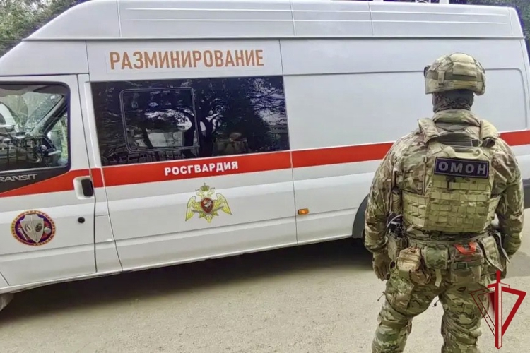 Росгвардия во Владимирской области обеспечила комплекс мер безопасности в преддверии нового учебного года