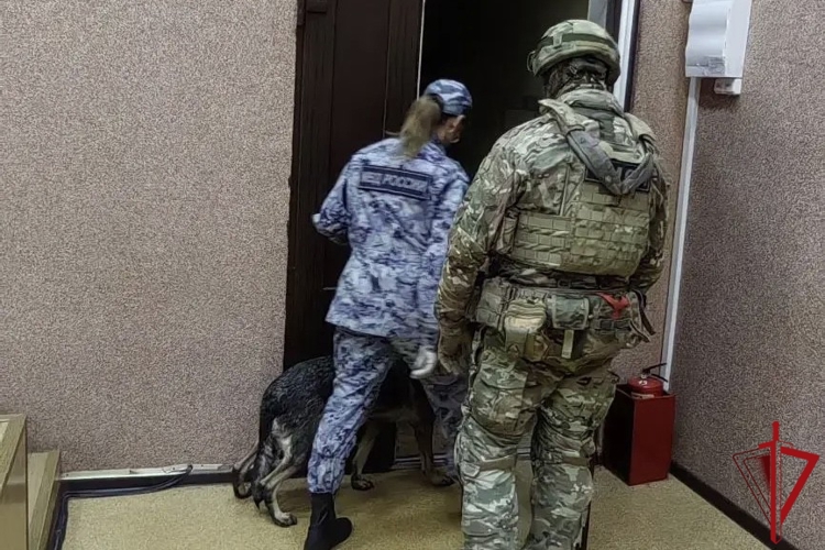 Росгвардия во Владимирской области обеспечила комплекс мер безопасности в преддверии нового учебного года
