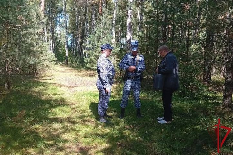  Во Владимирской области сотрудники Росгвардии помогли найти пропавшую в лесу пенсионерку