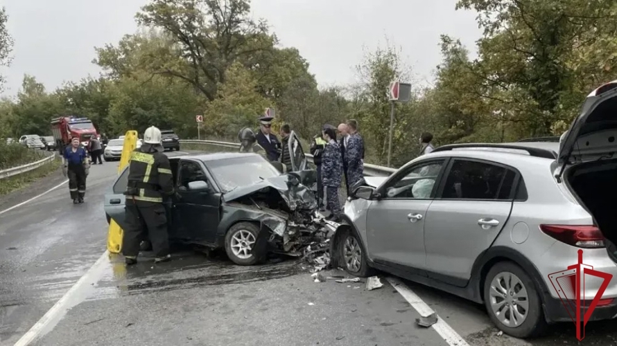  Росгвардейцы оказали помощь пострадавшим в ДТП во Владимирской области