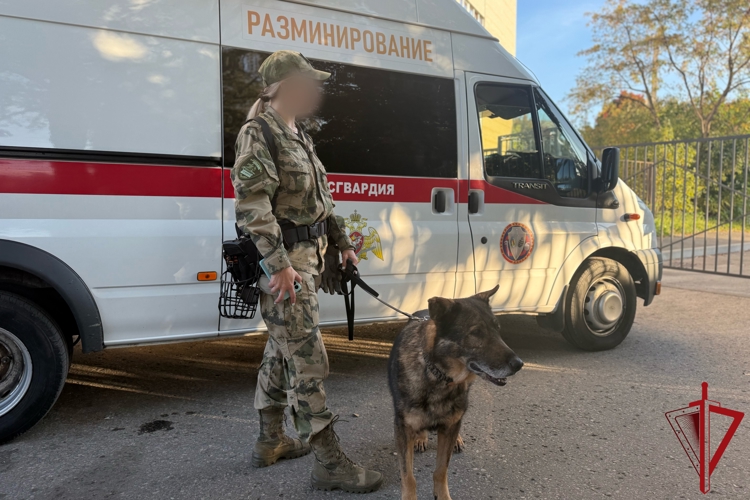 Владимирские Росгвардейцы обеспечивают правопорядок в период проведения выборов в регионе