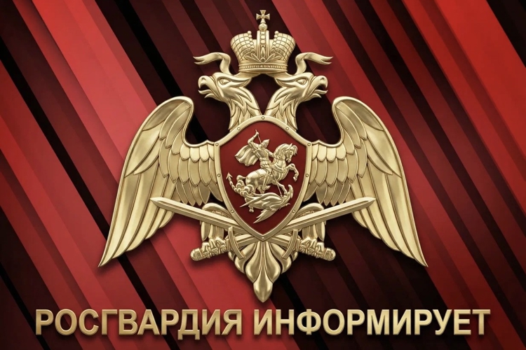 Справку о наличии оружия можно получить дистанционно через электронный сервис Росгвардии 