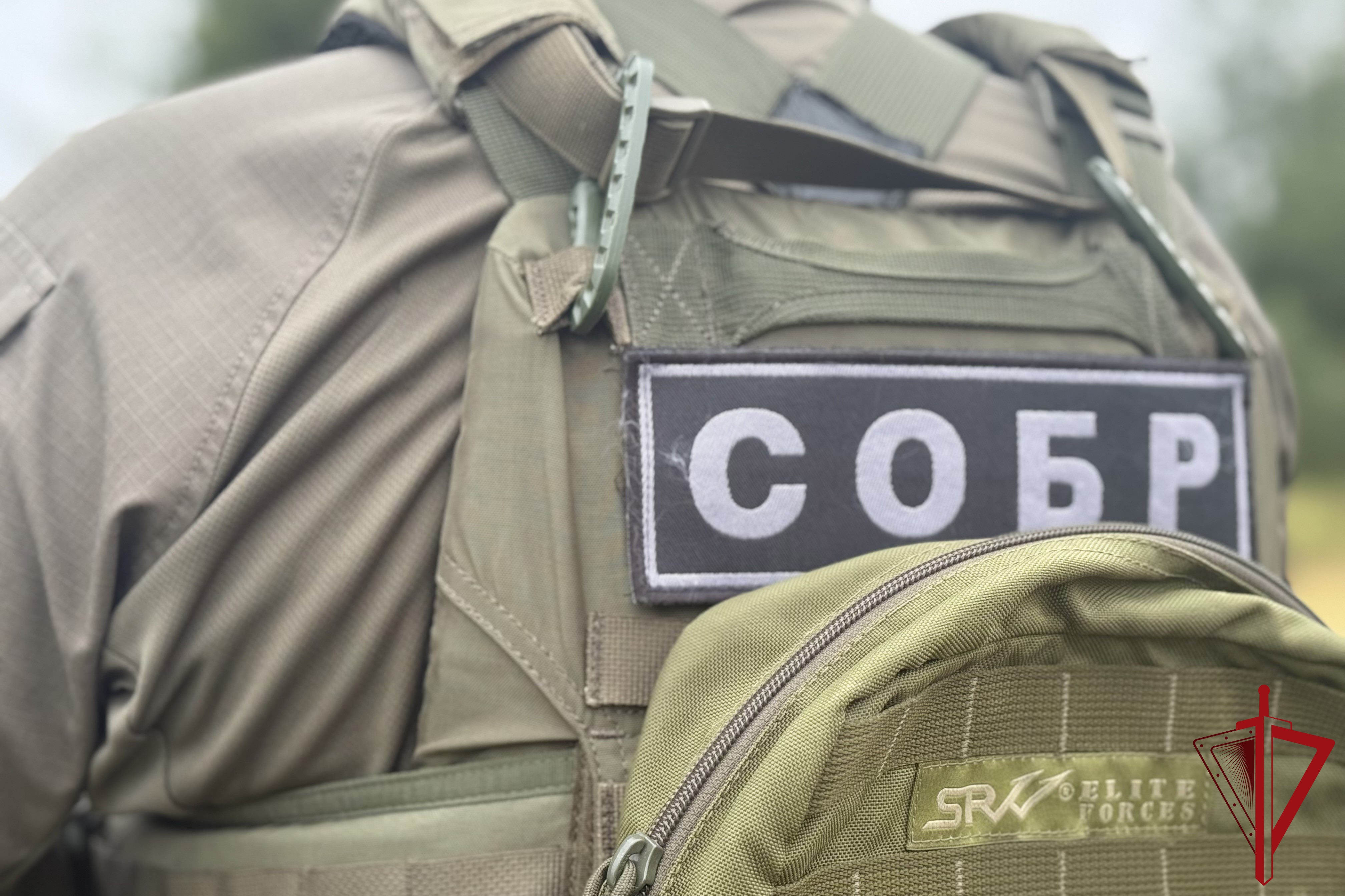 Во Владимирской области при силовой поддержке спецназа Росгвардии пресечен канал незаконной миграции